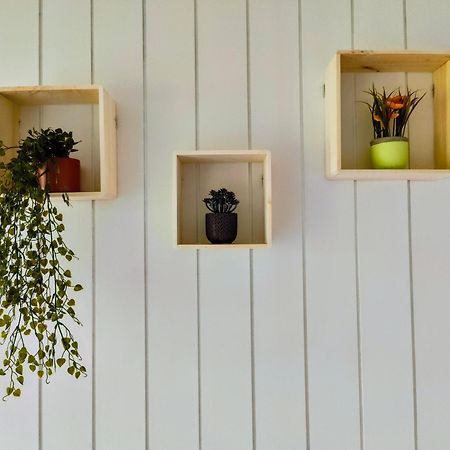 Modern Cozy Apartment, Green Neighborhood, Good Connectivity Duisbourg Extérieur photo